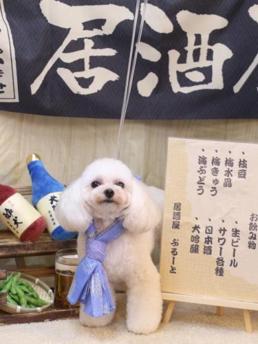 20240612シェリーちゃん